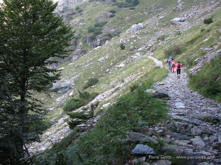 maslnaa-curo 022.jpg - Man mano si sale l'ambiente, lasciato il bosco, diviene più aperto e solatio